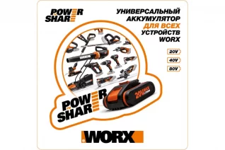 54135649