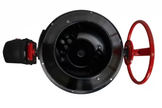 brgptj8z4zizjs5e0kjt0zhkbiqdnf1v