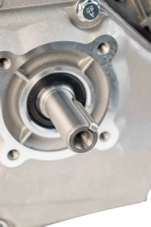 9ousit0a6zkk6n8ki5ya0f31yl5521b3