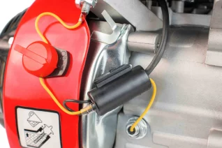 l86oakg4roj7zjaff4b2rpf9nfdukipk