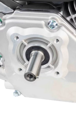 wgowk8suusr4d3j8m97slbhscf3cds3e