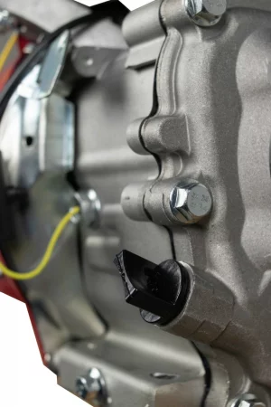 n470yeyso3zkam6odcghq0kt8g2kdn2m