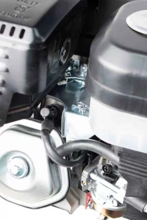 a4q616a2irwxw7gropn12v4yuux6dvcn