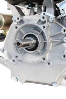 w8lzf885sfg0njsvq6yotd6fhrlsiuho