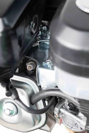 y9t4dv8u5v0aandjpzq4m2wxtj1q9n3t