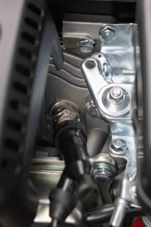 iupx1txs7r3m1f8ni5ugjn0as1lzt3wp