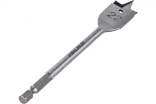 59585562
