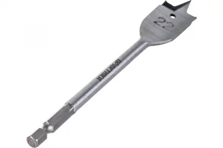 59585562