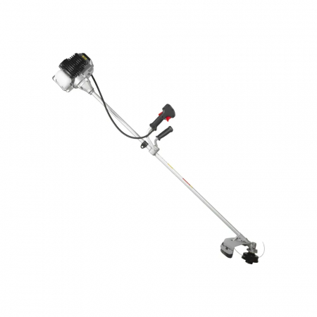 d4c9d238-ef67-11ef-b777-005056043025