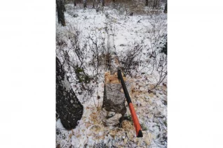 topor-kolun-patriot-t21-pa-711-logger-777001330-2020-06-13-13-17-42-3-5ee4a7c69f4bb