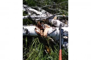 topor-kolun-patriot-t21-pa-711-logger-777001330-2020-06-13-13-17-42-5-5ee4a7c69f655