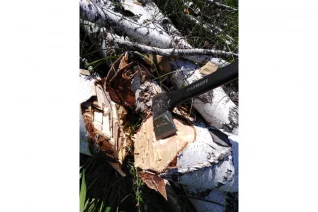 topor-kolun-patriot-t21-pa-711-logger-777001330-21623