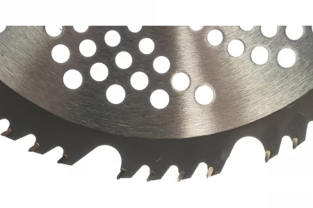 51561203