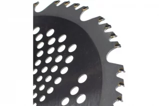 51561204