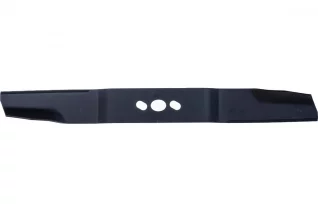 54370076
