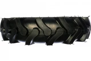 51256004