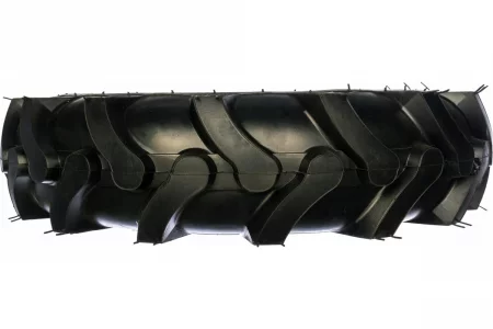 51256004