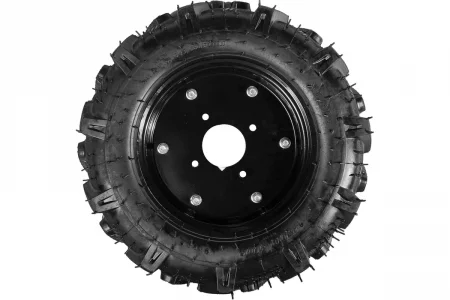 60075504