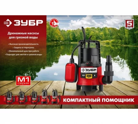 53897716