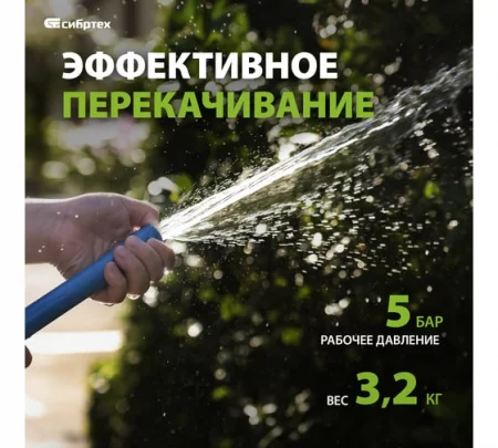 174569812