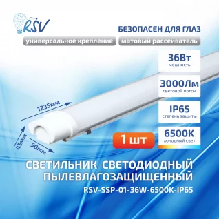 RSV-SSP-01-36W-6500K-IP65 1