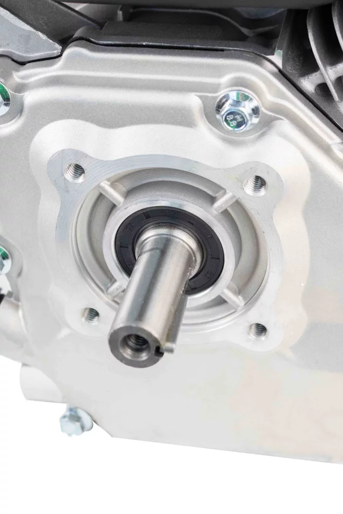 wgowk8suusr4d3j8m97slbhscf3cds3e