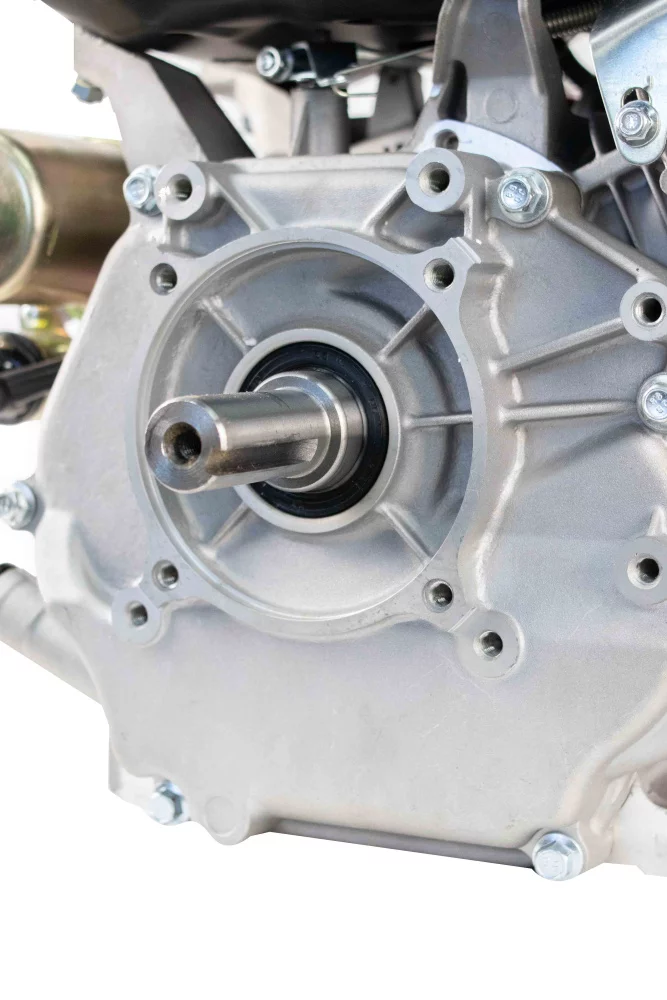 w8lzf885sfg0njsvq6yotd6fhrlsiuho