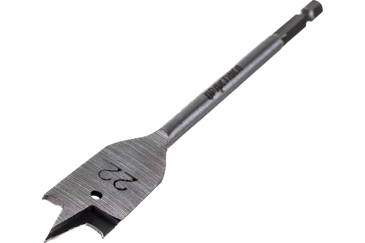 59585556