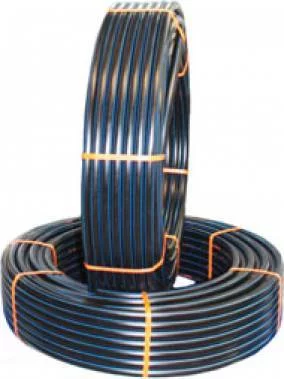 06gmg1wxbmh52s5ivwjh9wk6dtizpcvf