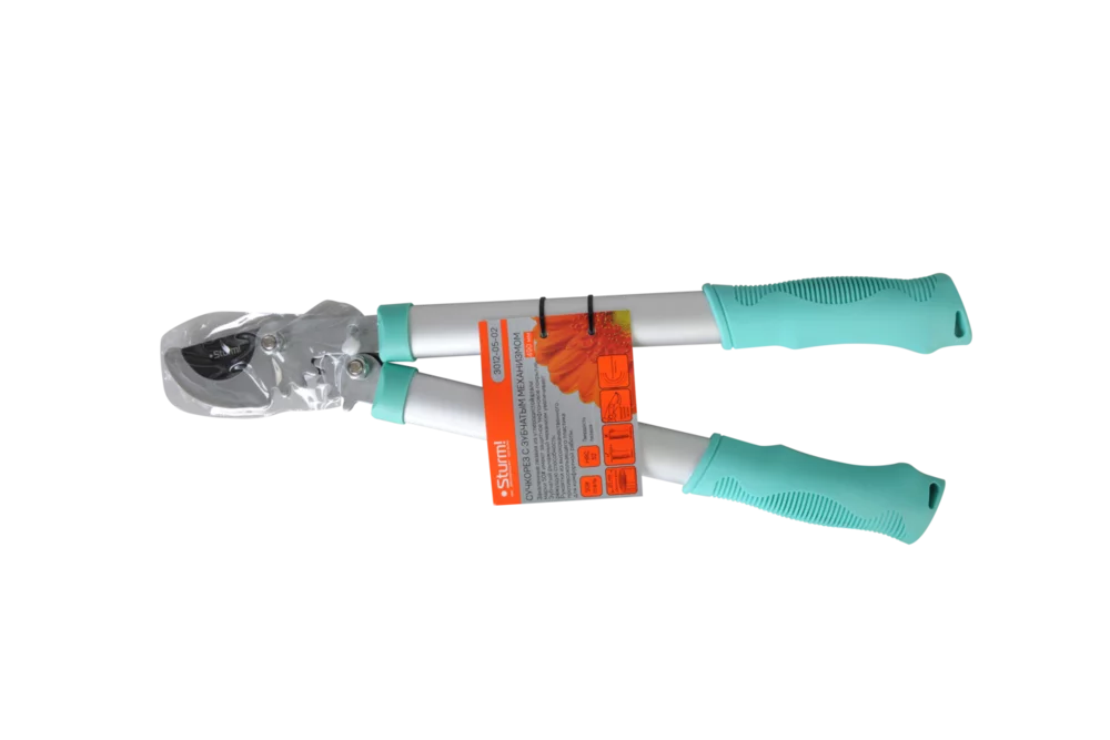 f1525aad-0f4a-11ee-bdaf-00505690a4dd