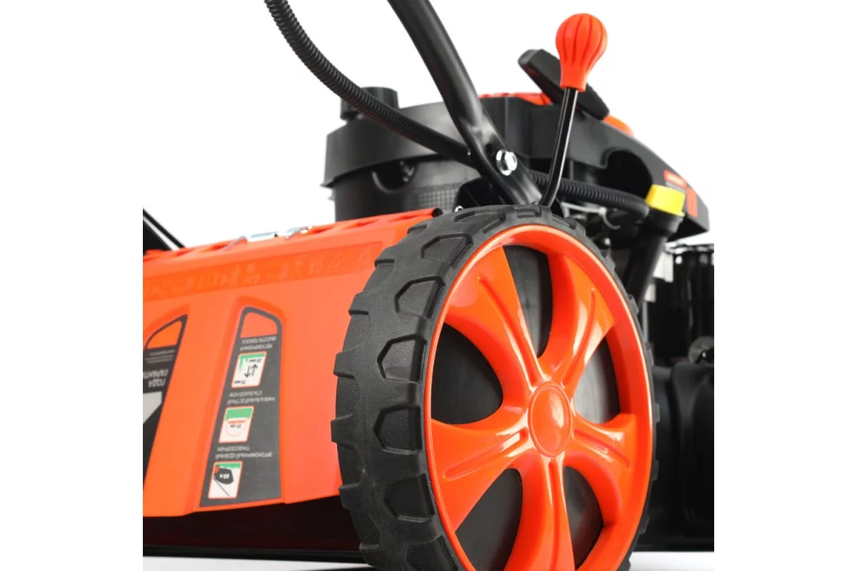 51518669